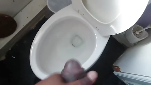 Shakeway up & cum hermanino