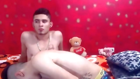 Hotester sexy girl in a car and pussy