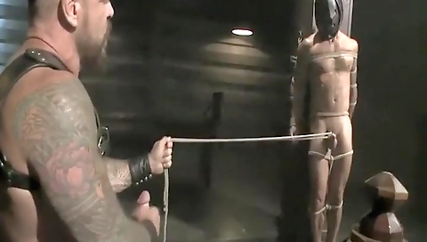 Shyo cancelen and give tugres a foot job